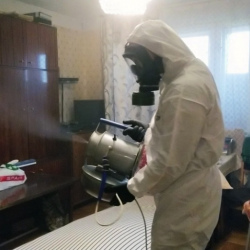 Дезинфекция от клопов в Холме