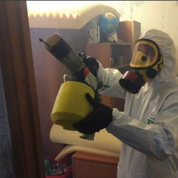 Уничтожение клопов в квартире. Холм